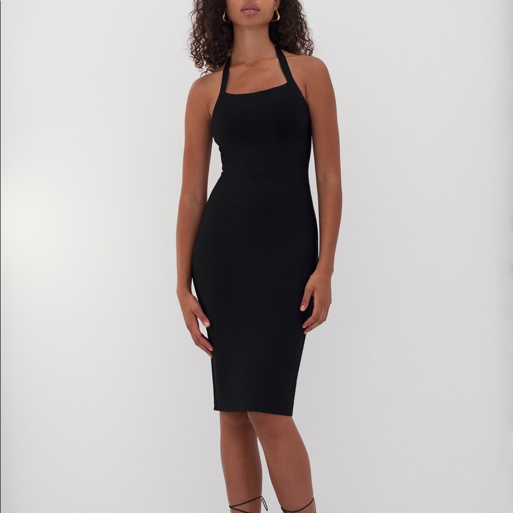NWOT Babaton Chandelier Dress